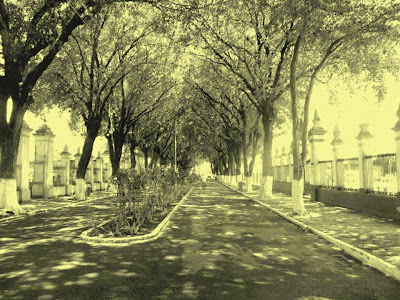 Cemitério do Cajú (1955)